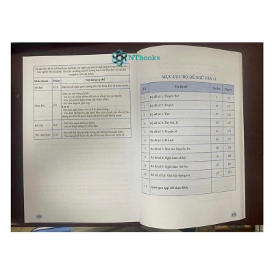 Sách Ngữ văn 11 - Đề ôn luyện và kiểm tra (Dùng ngữ liệu ngoài sgk)