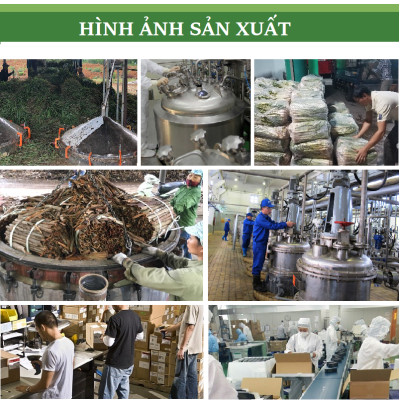 Tinh dầu Bưởi 50ml nguyên chất từ vỏ bưởi thiên nhiên - KingOil