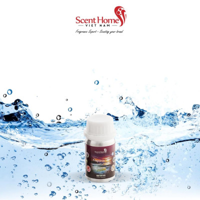 Tinh dầu Scent Homes - mùi hương (Limpit Water)