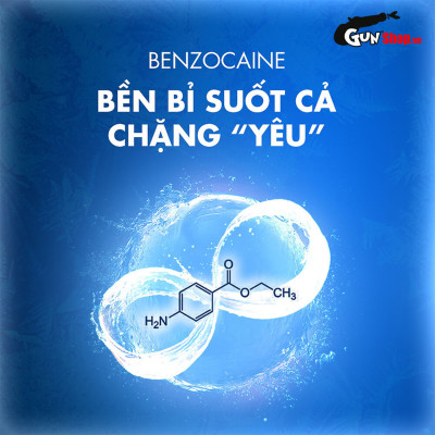 Bao cao su Shell Seahorse - Kéo dài thời gian - Hộp 10 cái