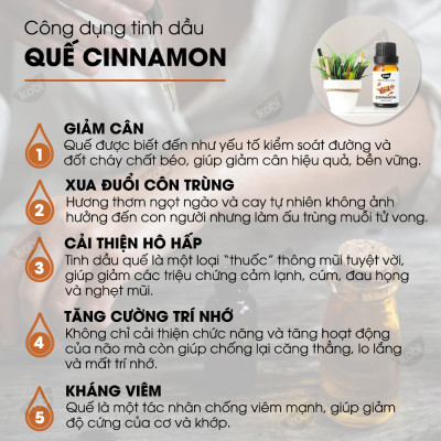 Combo 3 Tinh Dầu Kobi Nhập Khẩu Ấn Độ: Tinh Dầu Bạc Hà (30ml) + Tinh Dầu Oải Hương (30ml) + Tinh Dầu Vỏ Quế (30ml) - Tinh Dầu Thiên Nhiên Nguyên Chất, Giúp Giảm Stress, Làm Thơm Phòng