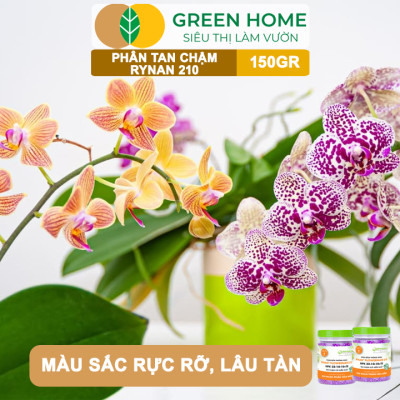Phân Tan Chậm Greenhome, Rynan 210, Hũ 150gr, Dùng Cho Phong Lan Trưởng Thành, Bonsai, Đủ Dưỡng Chất Cho 120 Ngày