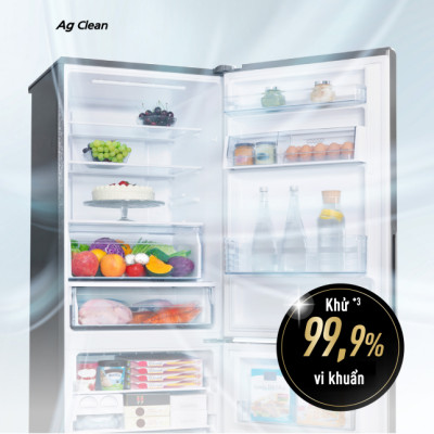 Tủ Lạnh Kháng Khuẩn Panasonic 251L NR-SP275CPAV - Cấp Đông Mềm - Ngăn Đá Dưới - Hàng chính hãng