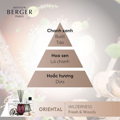 Maison Berger - Bộ lọ tinh dầu khuếch tán Black Prism - 200ml - 2 món