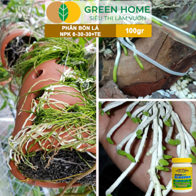 Phân Bón Lá Grow More NPK 6-30-30, GreenHome, Chai 100GR, Kích Ra Hoa, Tăng Đậu Quả