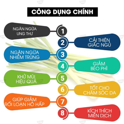 Tinh Dầu Sả Chanh 100ml Kobi Giúp Đuổi Muỗi, Khử Mùi, Thơm Phòng - Tinh Dầu Thiên Nhiên Nguyên Chất - Tinh Dầu Xông Phòng