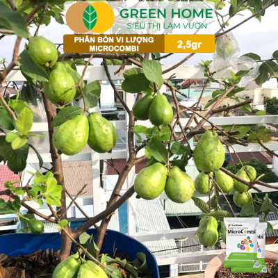 Phân Vi Lượng Micro Combi, GreenHome, Gói 2.5Gr, Cung Cấp Vi Lượng Thiết Yếu Cho Cây Trồng