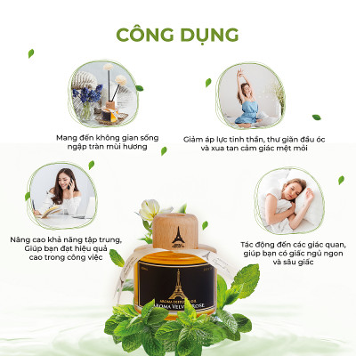 Sensual Amber - Tinh Dầu Thơm Phòng Que Gỗ, Nước Hoa Khuếch Tán Thiên Nhiên 100ml Cao Cấp, Sang Trọng