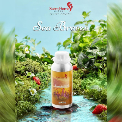 Tinh dầu Sea Breeze - ScentHomes ( Sea Breeze- 50ml,100ml,250ml)