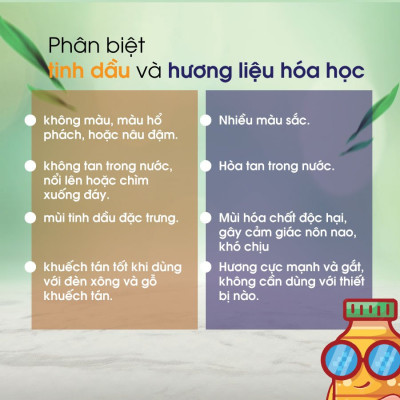 Tinh dầu quế thiên nhiên Vivian có kiểm định chất lượng 10 ml