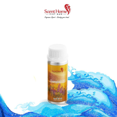 Tinh dầu Sea Breeze - ScentHomes ( Sea Breeze- 50ml,100ml,250ml)
