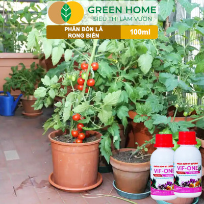 Phân Bón Lá Rong Biển Greenhome, Lavamix, Chai 100ml, Hữu Cơ, Ra Hoa, Đậu Trái, Chắc Hạt, Tăng Khả Năng Ra Đọt