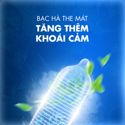 Bao cao su Shell Seahorse kéo dài thời gian - Hộp 3 cái | SHELL CHÍNH HÃNG