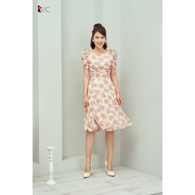 Đầm xòe hoa thêu, tay bồng Tri