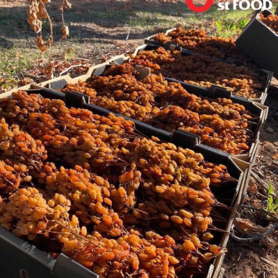 Nho khô nguyên cành THOMPSON Úc Dried Grapes Adora st Food (mẫu Quà Tết 1kg/hộp) ngon, bổ dưỡng, giàu vitamin, khoáng chất tự nhiên-QuaTangMe Extaste
