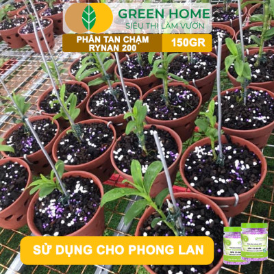 Phân Tan Chậm Greenhome, Rynan 200, Hũ 150gr, Dành Cho Phong Lan Con, Bonsai Kích Chồi, Đủ Dưỡng Chất Cho 120 Ngày