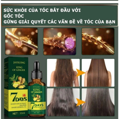 Tinh Dầu Xịt Mọc Tóc EELHOE: Tinh Chất Thiên Nhiên Từ Nhân Sâm Giup Mọc Tóc Hiệu Quả Chỉ Sau 7 Ngày