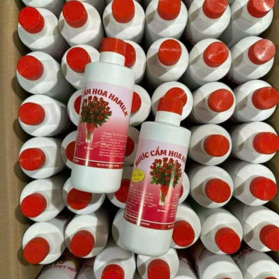 Nước Cắm Hoa Chống Hôi Thối, Giữ Hoa Tươi Lâu, Nước Cắm Hoa Tươi Lâu, Nước Cắm Bông, Nước Cắm Hoa Hamilk- HÀNG CHÍNH HÃNG MINIIN