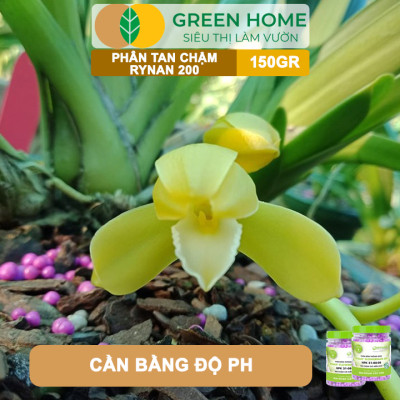 Phân Tan Chậm Greenhome, Rynan 200, Hũ 150gr, Dành Cho Phong Lan Con, Bonsai Kích Chồi, Đủ Dưỡng Chất Cho 120 Ngày
