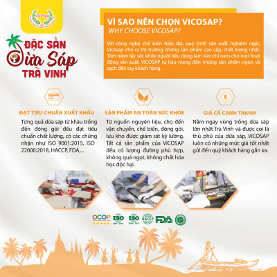 COMBO 3 hộp Dừa sáp sấy giòn cao cấp VICOSAP ít đường đồ ăn vặt healthy đặc sản Trà Vinh