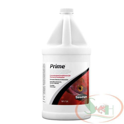 Xử lý nước Seachem Prime 100ml, 250ml, 500ml, 1L, 2L khử độc clo nước mới giảm stress bể thủy sinh cá tép