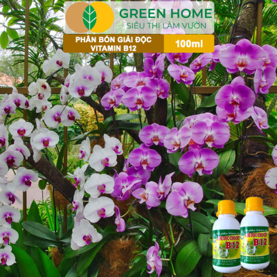 Chế Phẩm Vitamin B12 Greenhome, Chai 100ml, Chống Sốc, Phục Hồi Giải Độc Cho Lan, Cây Cảnh Khi Bị Bón Phân Quá Liều