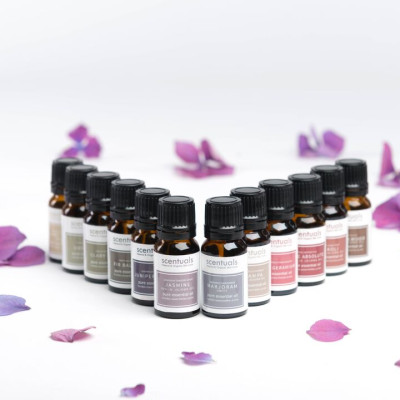 Tinh Dầu Hương Tuyết Tùng 10ml