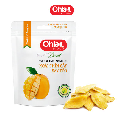 Combo siêu hời 1: 3 túi xoài 100g ( xoài sấy dẻo, xoài chín cây sấy dẻo, xoài muối ớt)