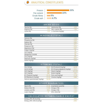  Hạt Royal Canin Hair & Skin Care Dưỡng Lông & Da Cho Mèo