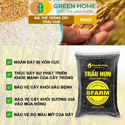 Trấu Hun Greenhome, Bao 5dm3, Sfarm, Giá Thể, Nguyên Cánh Không Lẫn Tạp Chất. Dùng Trồng Thuỷ Canh, Rau Mầm, Ươm Cây Con
