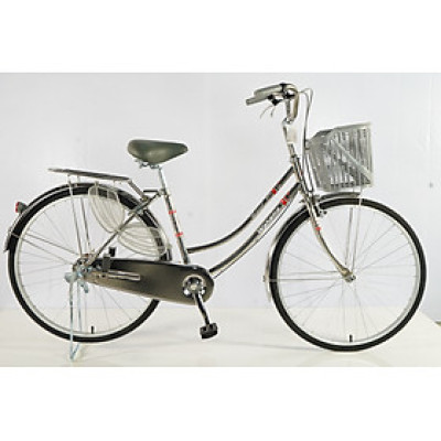 Xe đạp Wahama mini inox 26 inch