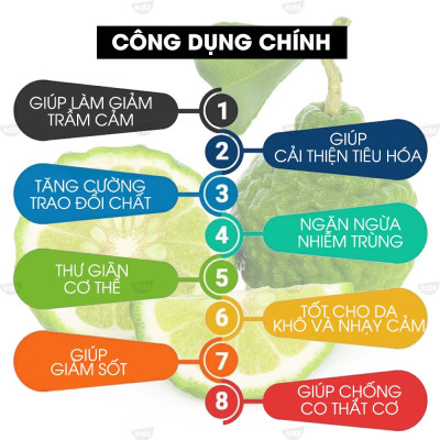 Tinh Dầu Cam Hương Kobi - Tinh Dầu Thiên Nhiên Nguyên Chất, Tinh Dầu Xông Phòng, Giúp Giảm Stress, Xua Đuổi Côn Trùng Và Khử Mùi Hiệu Quả, Thích Hợp Dùng Với Đèn Xông Và Máy Khuếch Tán Tinh Dầu (5ml)