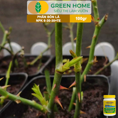 Phân Bón Lá Grow More NPK 6-30-30, GreenHome, Chai 100GR, Kích Ra Hoa, Tăng Đậu Quả