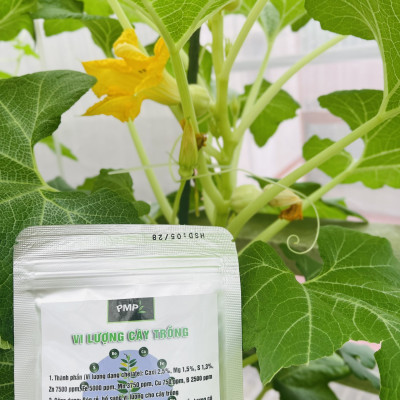 Phân Bón Vi Lượng Hữu Cơ PMP Bổ Sung Vi Lượng Cho Hoa Hồng, Rau Sạch, Cây Cảnh, Bon Sai 150g