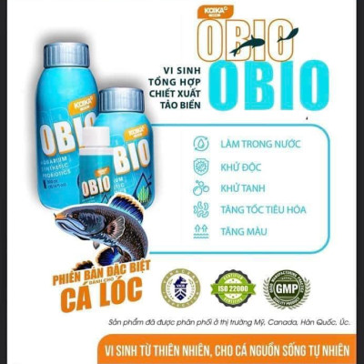 KOIKA OBIO Phiên Bản Dành Cho C.á LÓC