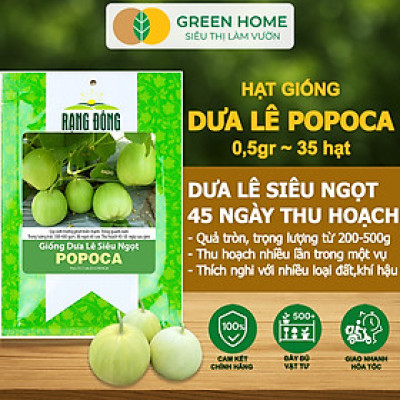 Hạt Giống Dưa Lê Popoca Siêu Ngọt, Greenhome, Gói 0.5GR~35 hạt, Dễ Trồng Quanh Năm, Nảy Mầm Cao, T25