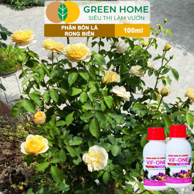 Phân Bón Lá Rong Biển Greenhome, Lavamix, Chai 100ml, Hữu Cơ, Ra Hoa, Đậu Trái, Chắc Hạt, Tăng Khả Năng Ra Đọt