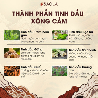 Tinh dầu Xông cảm Nguyên Chất - Làng Hạ - Giải cảm tiện lợi, tăng sức đề kháng, thải độc, lọc không khí - Hàng Chính Hãng