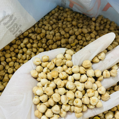 Hạt Đậu Gà Chickpeas Holinut Xuất Xứ Argentina /500gr/