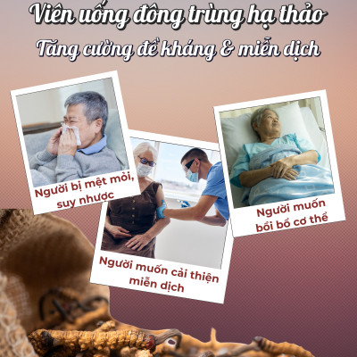 Viên Uống Tăng Cường Đề Kháng, Miễn Dịch Chiết Xuất Đông Trùng Hạ Thảo Seedcoms Nhật Bản