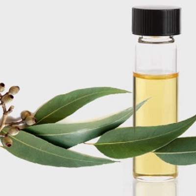 Tinh dầu Bạch Đàn Chanh 100ml nguyên chất từ thiên nhiên - KingOil
