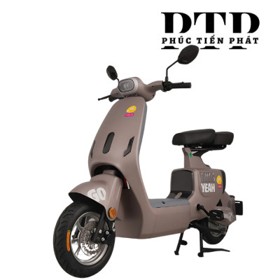Xe Điện TAILG GR55