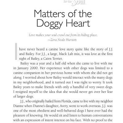 Chicken Soup For The Soul: The Dog Did What?: 101 Amazing Stories Of Magical Moments, Miracles And... Mayhem