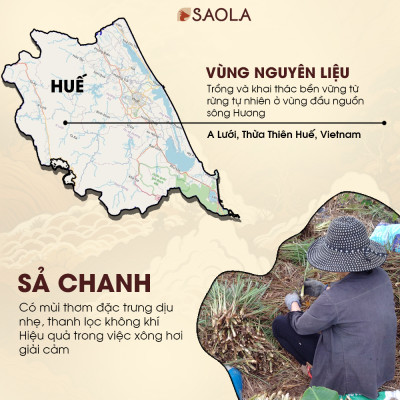 Tinh dầu Gừng Huế 10ml (Ginger oil)