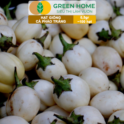 Hạt Giống Cà Pháo Trắng GreenHome, Gói 0,5g~100 hạt, Dễ Trồng Quanh Năm, Năng Suất Cao T44
