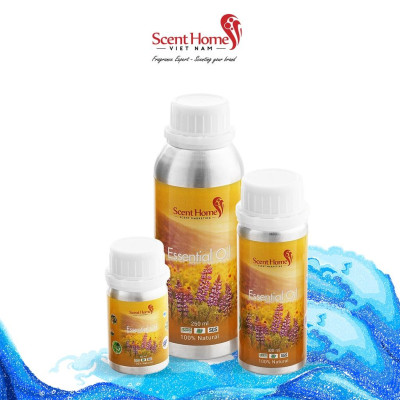 Tinh dầu Sea Breeze - ScentHomes ( Sea Breeze- 50ml,100ml,250ml)