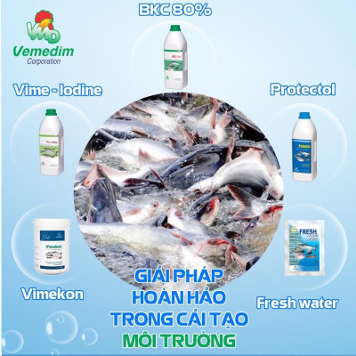 VEMEDIM Vime-Protex cá, xử lý nước, diệt khuẩn ao nuôi cá, chai 1lit Vime Protex - Lonton store