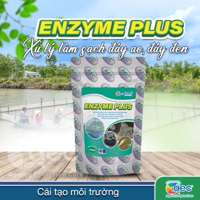Chế phẩm vi sinh Enzyme Plus – hỗ trợ xử lý bùn đáy ao đáy đen nuôi tôm