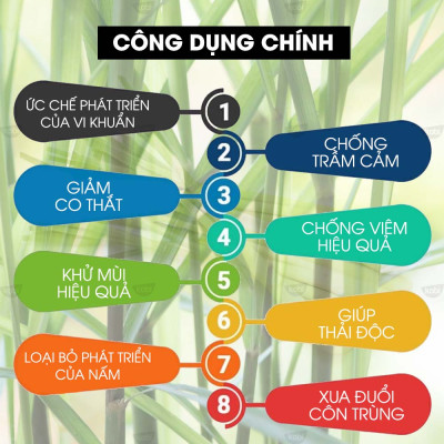Tinh Dầu Sả Java Nguyên Chất Kobi Giúp Khử Mùi, Đuổi Muỗi Hiệu Quả (30ml)