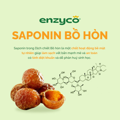 Combo nước lau sàn và nước giặt sinh học ENZYCO 2L - Chiết xuất Bồ hòn và Enzyme Dứa